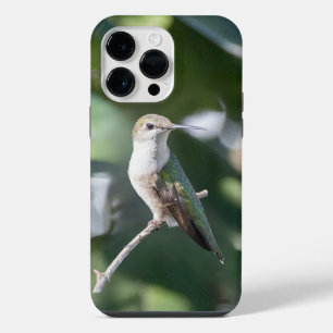Coque Pour Pour iPhone 14 Pro Max Colibri à gorge rubis