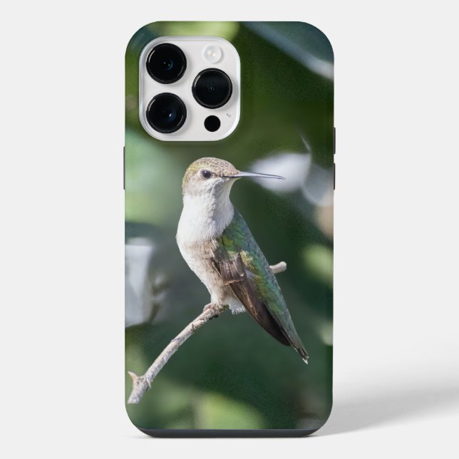 Coque iPhone Colibri à gorge rubis (Verso)