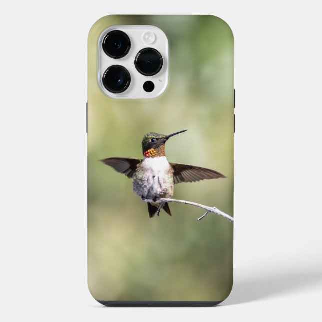 Coque iPhone Colibri à gorge rubis (Verso)