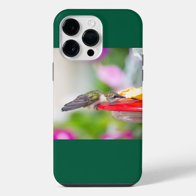 Coque iPhone Colibri à gorge rubis (Verso)