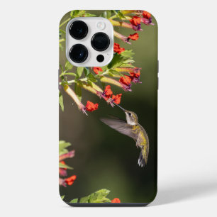 Coque Pour Pour iPhone 14 Pro Max Colibri à gorge rubis