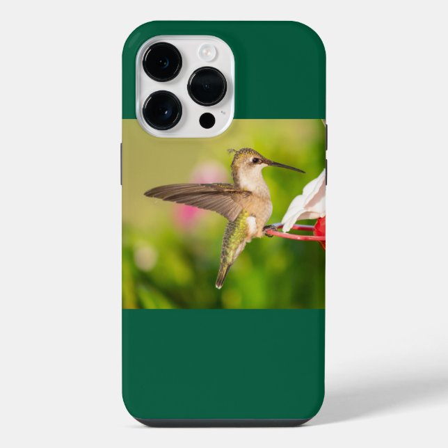 Coque iPhone Colibri à gorge rubis (Verso)
