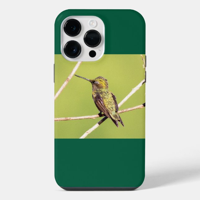 Coque iPhone Colibri à gorge rubis  (Verso)