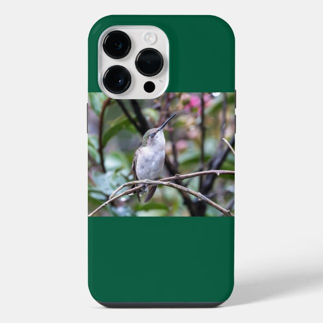 Coque iPhone Colibri à gorge rubis (Verso)
