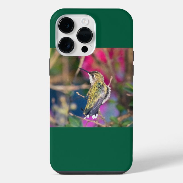 Coque iPhone Colibri à gorge rubis (Verso)