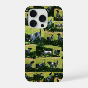 Coque iPhone 15 Pro Collage de photos de Fox Terrier,
