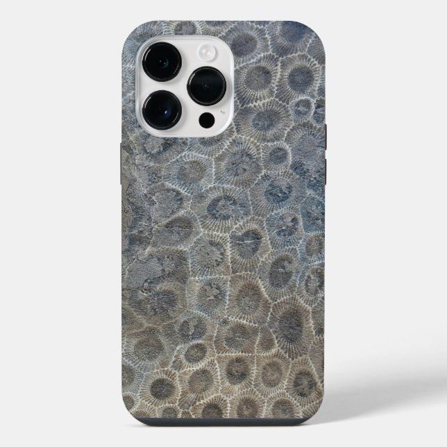 Coque iPhone Conception de pierre Petoskey du Michigan  (Verso)