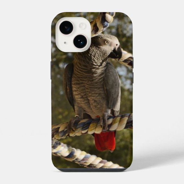 Coque iPhone Congo African Grey sur une balançoire Case-Mate co (Verso)