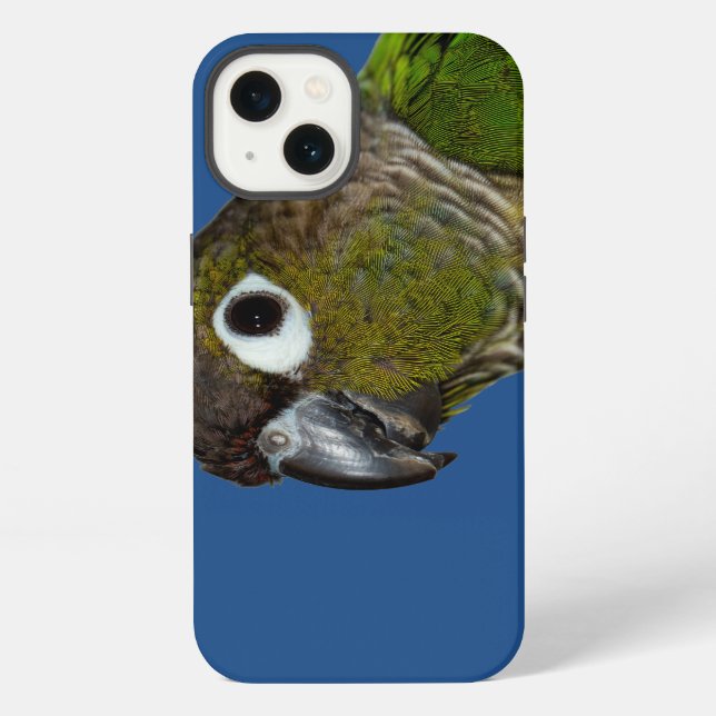 Coque iPhone Conure à joues vertes (Verso)