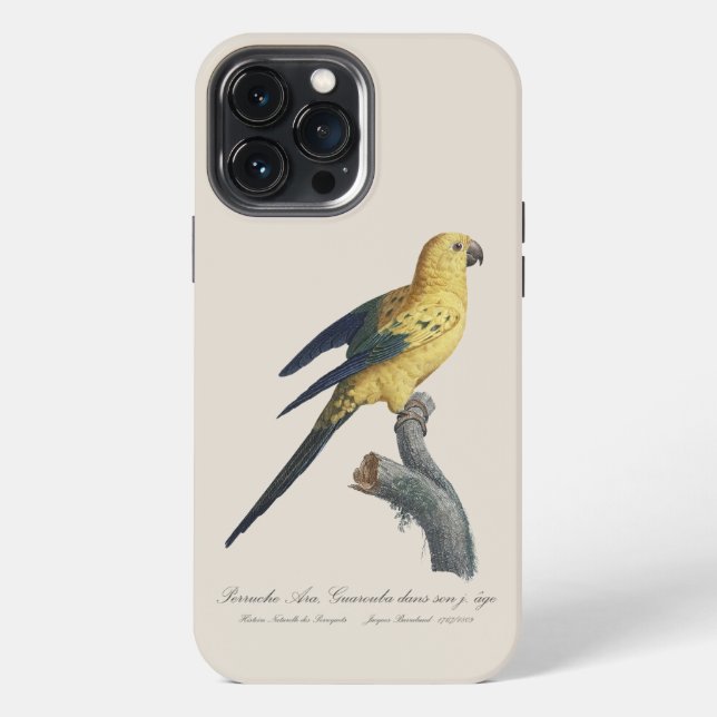 Coque iPhone Conure soleil Aratinga solstitialis (Verso)