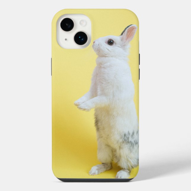 Coque iPhone coques de lapin pour iphone 14 plus  (Verso)
