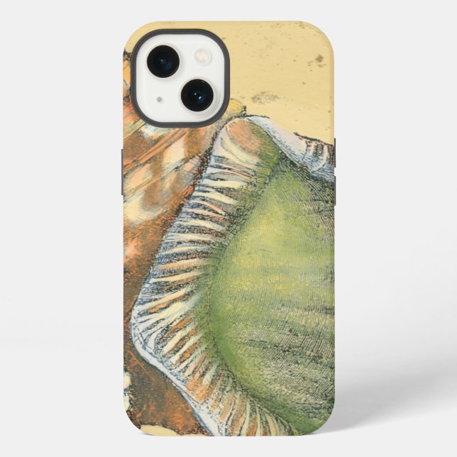 Coque iPhone Coquillage Brown et vert (Verso)