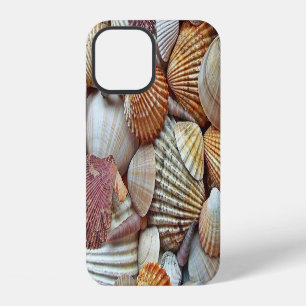 Coque iPhone 12 Coquilles de mer