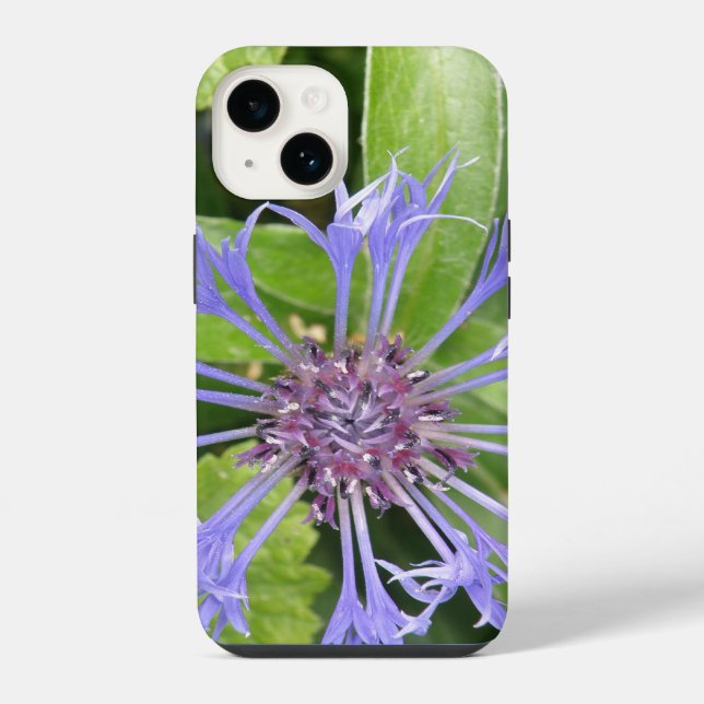 Coque iPhone Corfleur bleu (Verso)