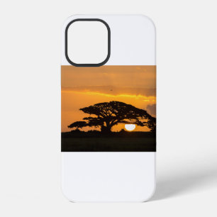 Coque iPhone 12 Coucher de soleil américain (73)