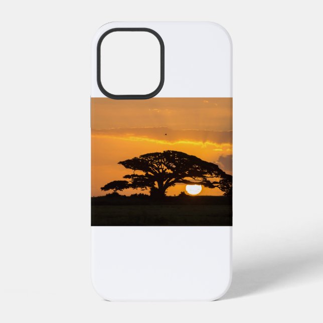 Coque iPhone Coucher de soleil américain (73) (Verso)