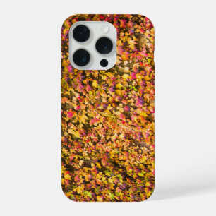 Coque iPhone 15 Pro Couleurs d'automne dorées sur un mur de lierre