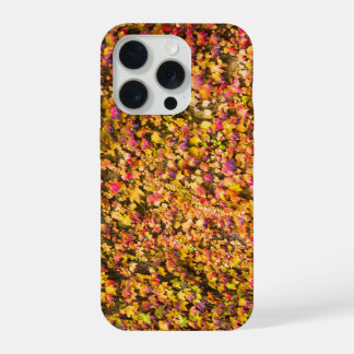 Coque iPhone 15 Pro Couleurs d'automne dorées sur un mur de lierre