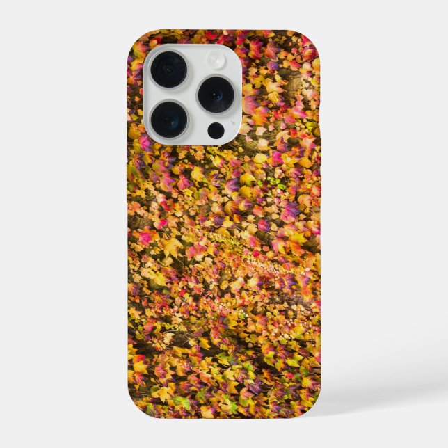 Coque iPhone Couleurs d'automne dorées sur un mur de lierre (Verso)