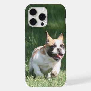 Coque iPhone 15 Pro Max Course de Bulldog français