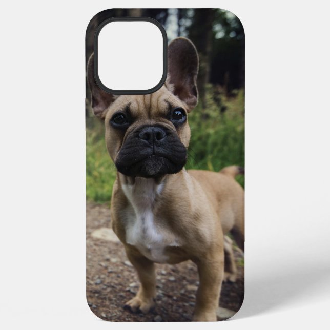 Coque iPhone Coussin de lancer bouledogue français (Verso)