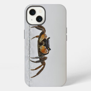 Etui iPhone 13 Crabe, animal, crustacé