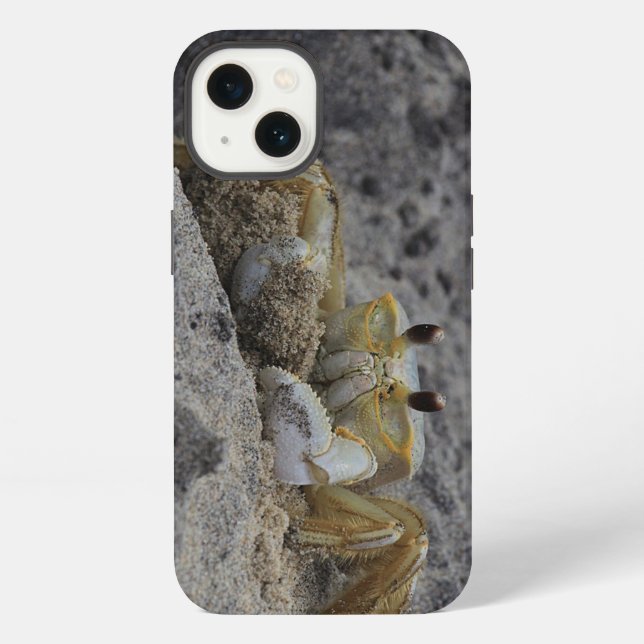 Coque iPhone Crabes, crustacés, sable (Verso)