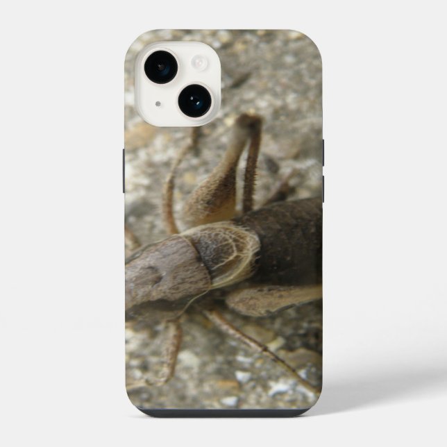 Coque iPhone Cricket Brown (Verso)