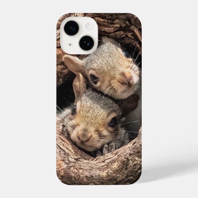 Coque iPhone Cutest Baby Animals | Two Young Squirrels (Verso)