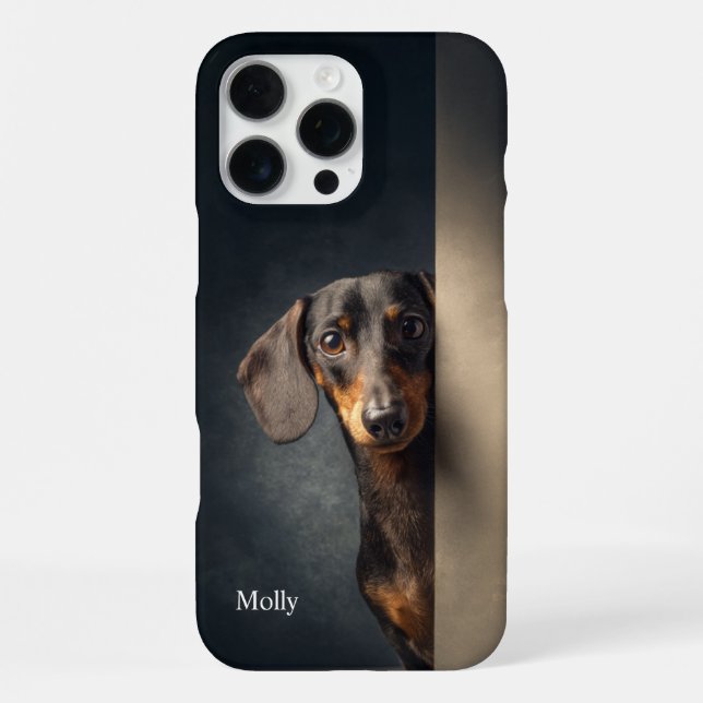 Coque iPhone Dachshund noir et feu personnalisé (Verso)
