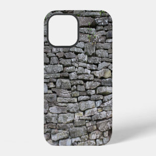 Coque iPhone 12 Damas baroque : Modèle floral de luxe