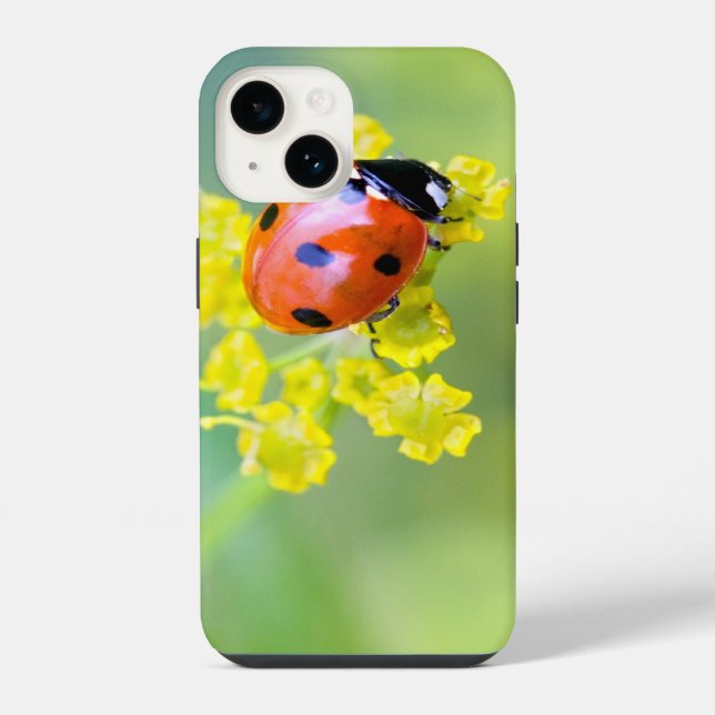 Coque iPhone dame sur le dessus (Verso)