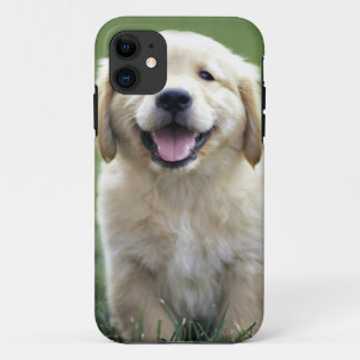 Coque iphone de chiot de golden retriever