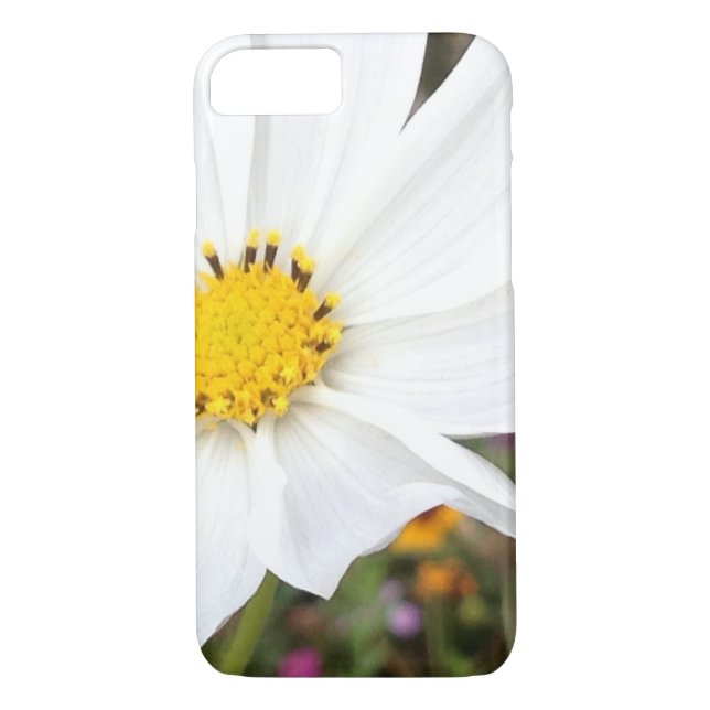 Coque iphone de fleurs Cosmos blanc (Dos)