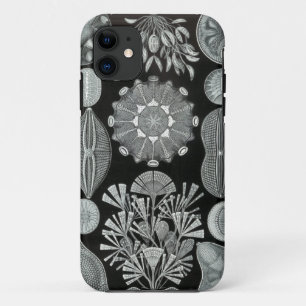 Coque iphone de Haeckel - Diatomea