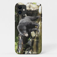 Coque iphone de la faune de l'ours noir "Saumon Sp