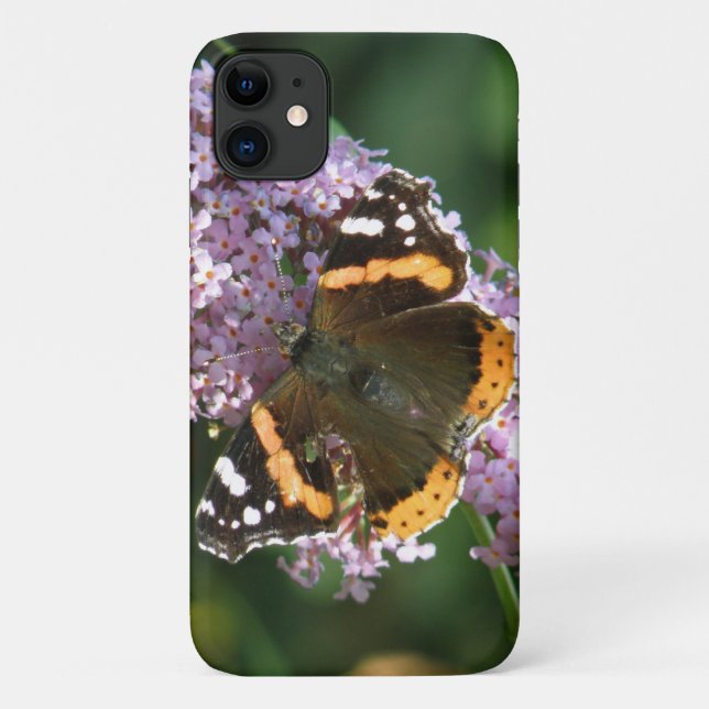 Coque iphone de l'amiral rouge papillon et bouddle (Dos)