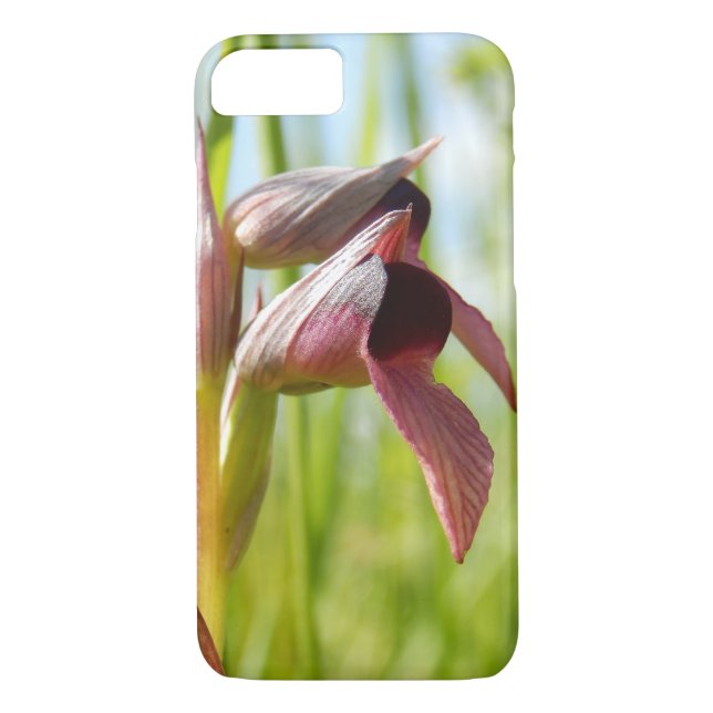 Coque iphone de l'orchidée langue (Dos)