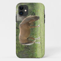 Coque iphone de pâturage de Cheval Brown de châtai
