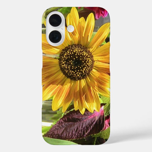 Coque iphone de tournesol Sassy (Verso)