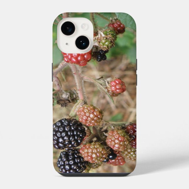 Coque iPhone Délice de mûres (Verso)