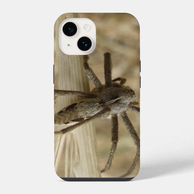 Coque iPhone Déplaisant Crawly Spider (Verso)
