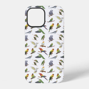 Coque iPhone 12 Divers perroquets colorés