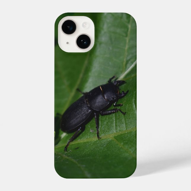Coque iPhone Dorcus parallelipipedus, le moindre dendroctone du (Verso)