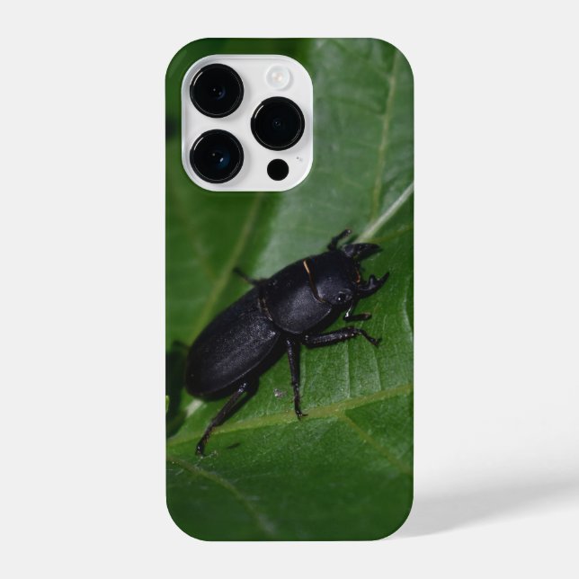 Coque iPhone Dorcus parallelipipedus, le moindre dendroctone du (Verso)
