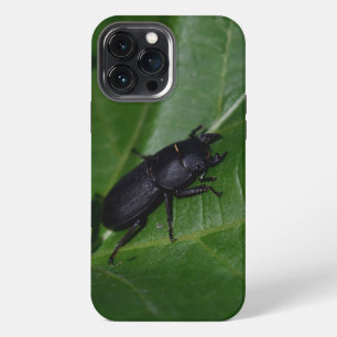 Etui iPhone 13 Pro Max Dorcus parallelipipedus, le petit lucane