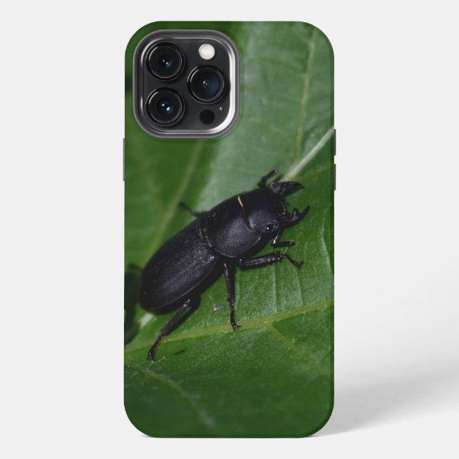 Coque iPhone Dorcus parallelipipedus, le petit lucane (Verso)