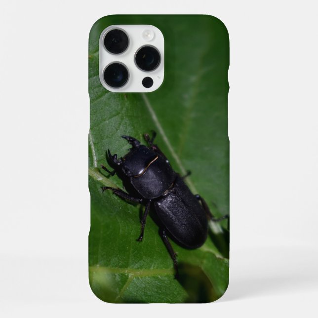 Coque iPhone Dorcus parallelipipedus, le petit lucane (Verso)