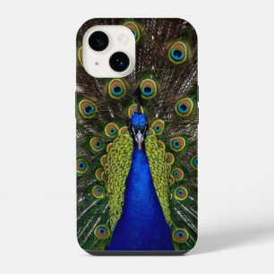 Coque Pour iPhone 14 Écran Peacock