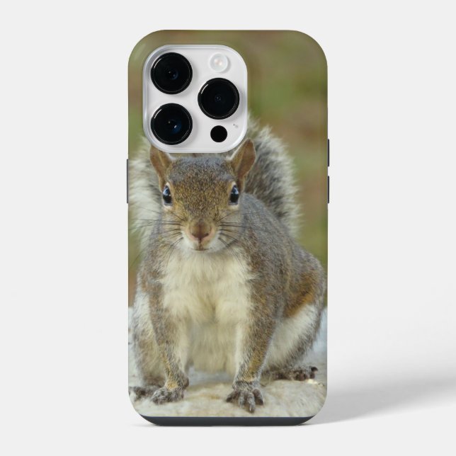 Coque iPhone Écureuil gris de l'Est mignon en gros plan  (Verso)